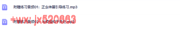 附赠音频（无讲义） screenshot