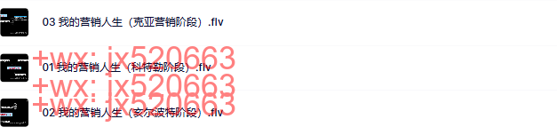第33部分:我的营销人生(3节) screenshot