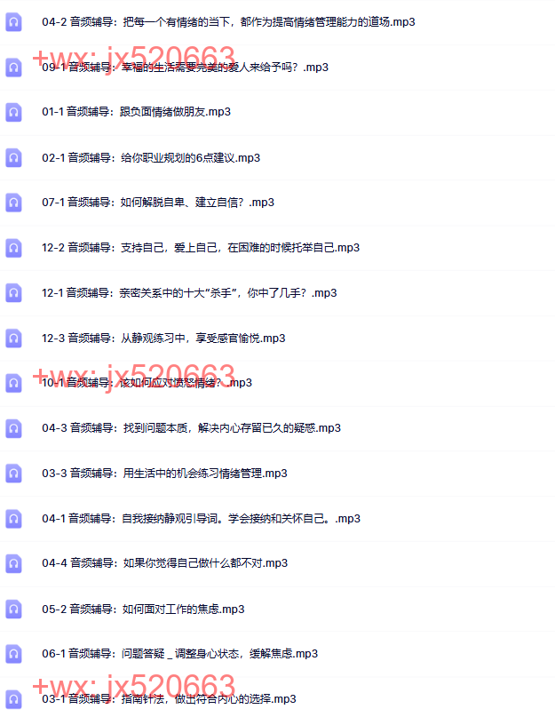 20堂音频辅导课 screenshot