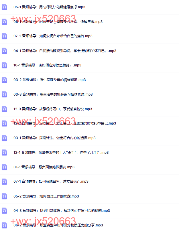 20堂音频辅导课 screenshot