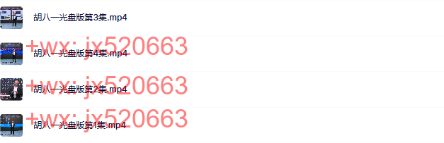 06 胡八一-中国式阿米巴 4DVD screenshot