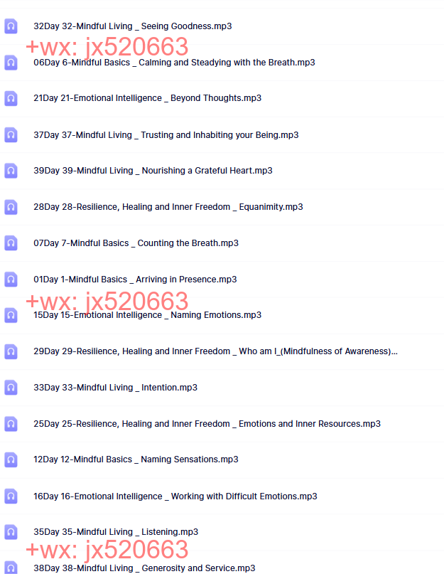 英文版 screenshot