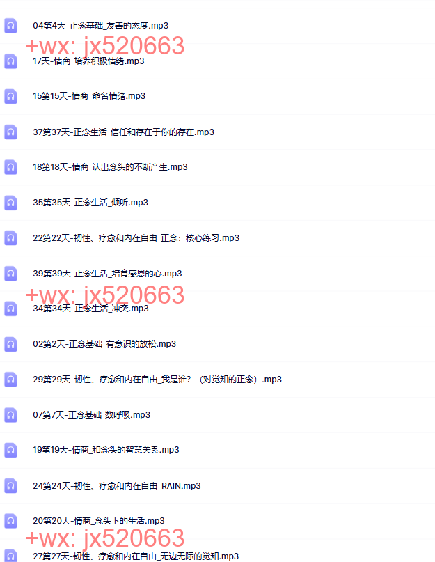 中文版 screenshot