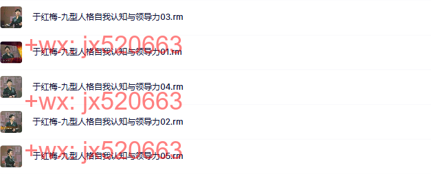 13-于红梅-九型人格自我认知与领导力5集视频 screenshot