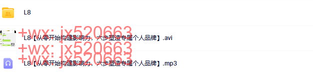 13 L8【从零开始构建影响力，六步塑造专属个人品牌】 screenshot