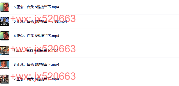 2 正念,自我 &链接当下 screenshot