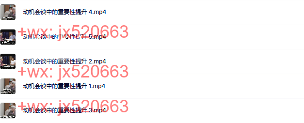 26  动机会谈中的重要性提升 screenshot