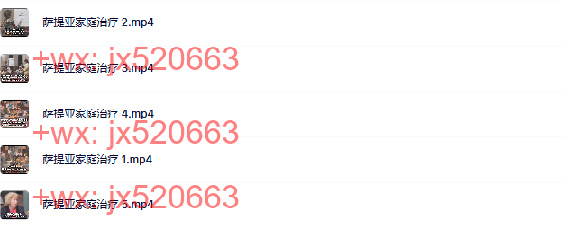 10 萨提亚家庭治疗 screenshot