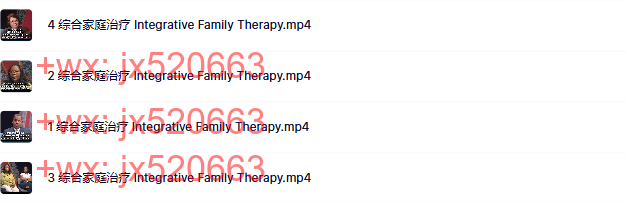 12  综合家庭治疗 screenshot