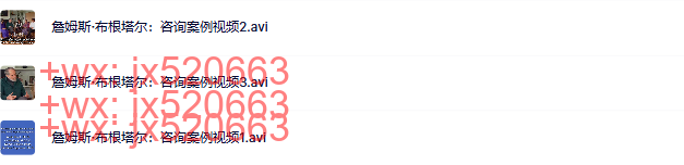 20 詹姆斯·布根塔尔:咨询案例 screenshot