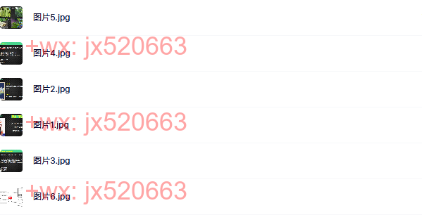 ppt[11、安妮] screenshot