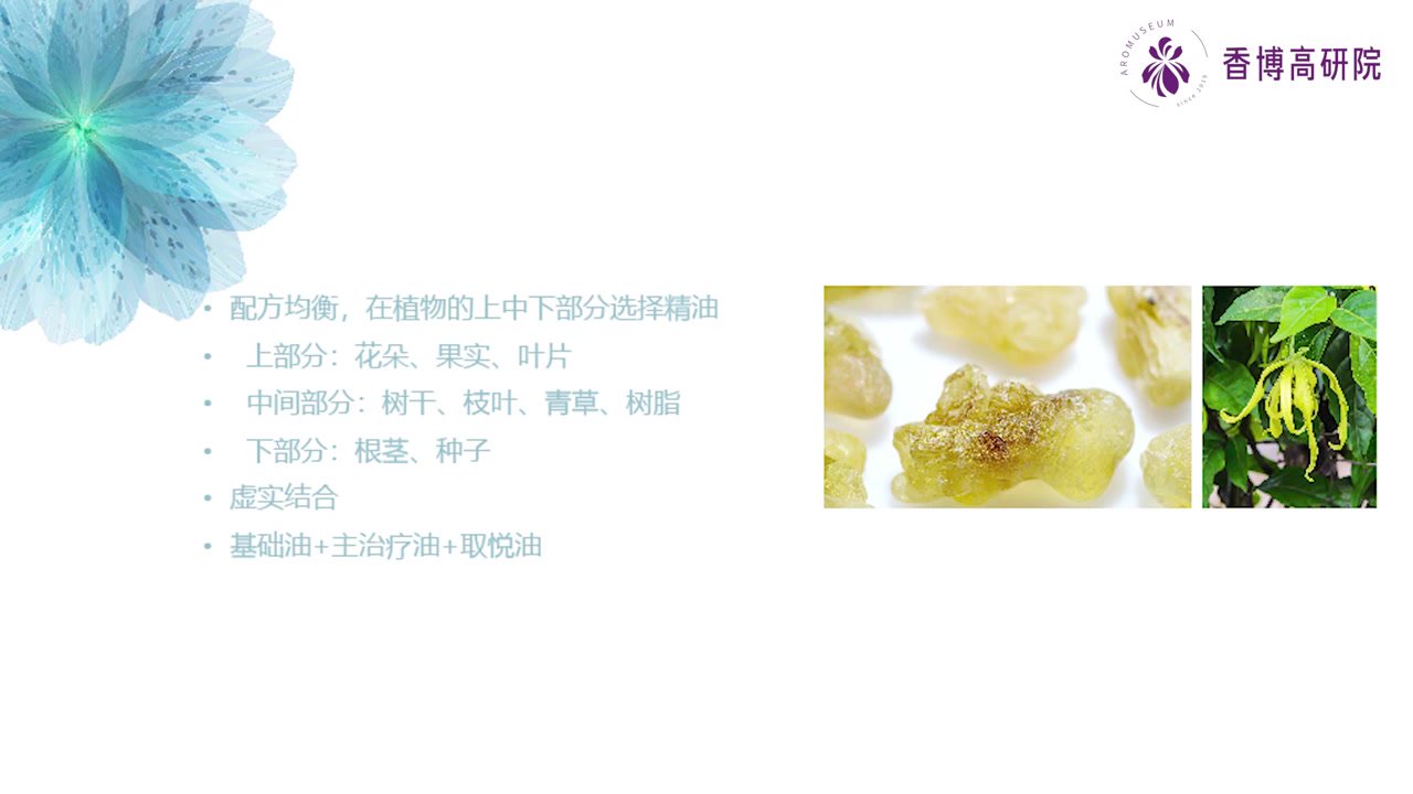 1.第一课 芳疗师调油思路.mp4