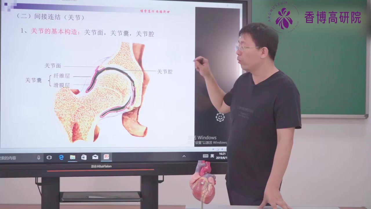 13.第十三课.运动系统——关节.mp4