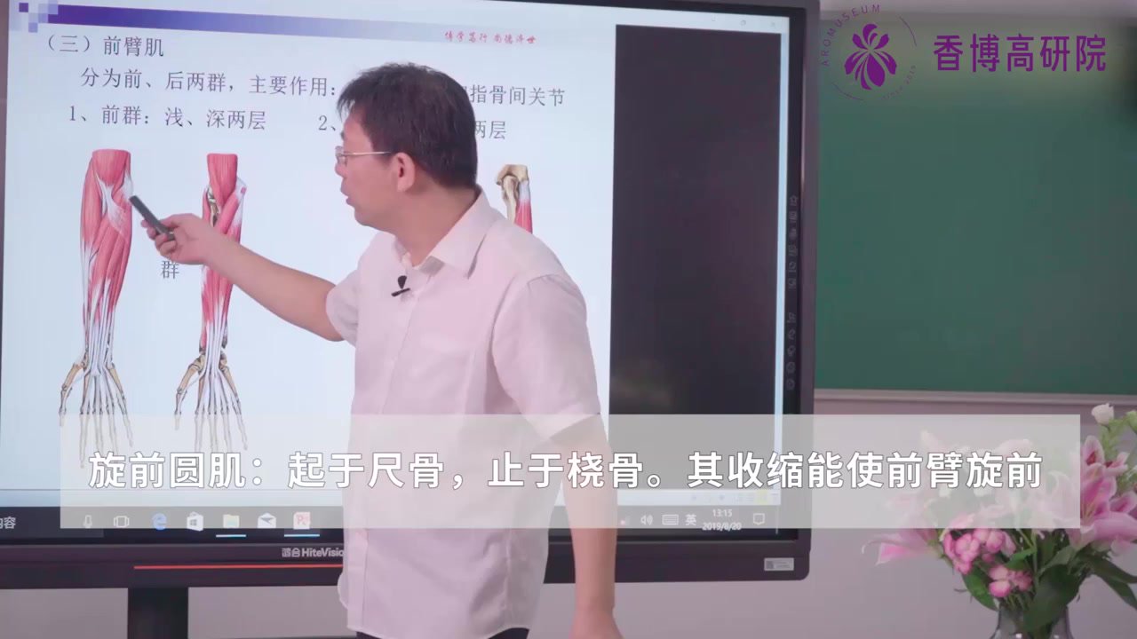 22.第二十二课.运动系统——上肢肌.mp4