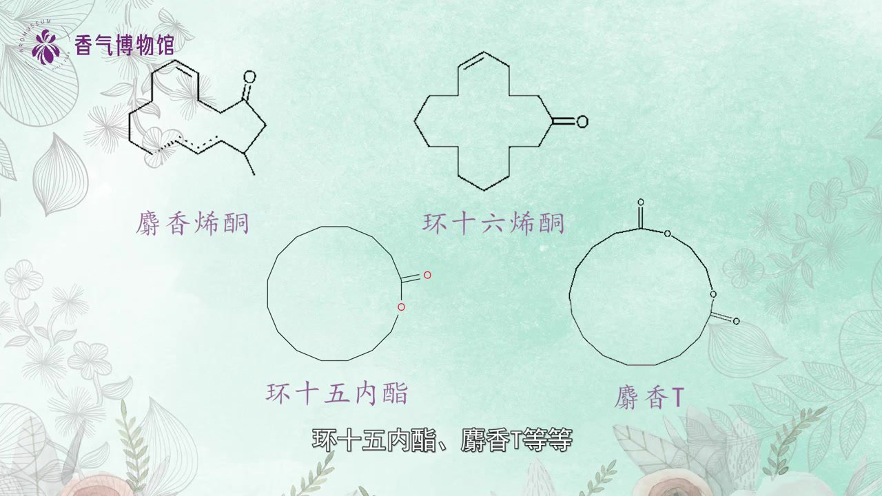 香气家族的基本知识-第5节-12种非花香分类——辛香、豆香(2022-07-04 13:28:25).mp4