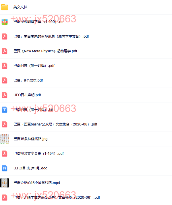 042巴夏资料 screenshot