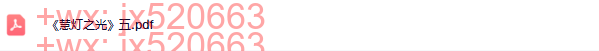 《慧灯之光》五pdf screenshot