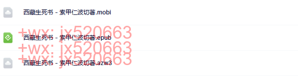 西藏生死书 screenshot